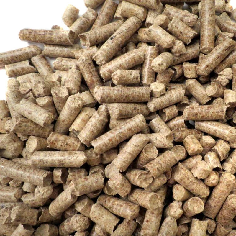 Apple Wood BBQ Pellets (1LB / 460g) – Natural Smoking Chips